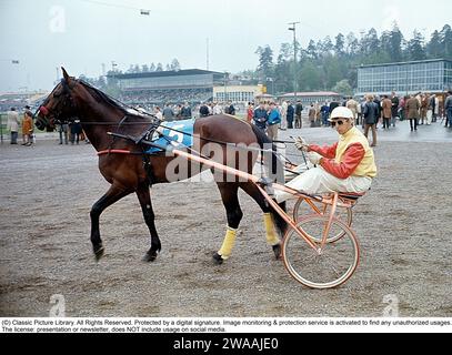 Olle Elfstrand. Schwedischer Trab-Trainer und Jockey. Während seiner Karriere gelang es ihm, über 2000 Rennen als Jockey zu gewinnen. Hier im Trottel mit dem Traberpferd Lyon, das er für den Großteil seiner Rennkarriere trainierte. Lyon wurde dreimal zum Pferd des Jahres gewählt und war das erste in Schweden geborene Trabpferd, das eine Million schwedischer Kronen an Preisgeld gewann. 1972 Ref. BV9 Stockfoto