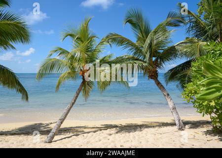 Strand Anse Cimitière. Praslin Island, Seychellen, Indischer Ozean Stockfoto