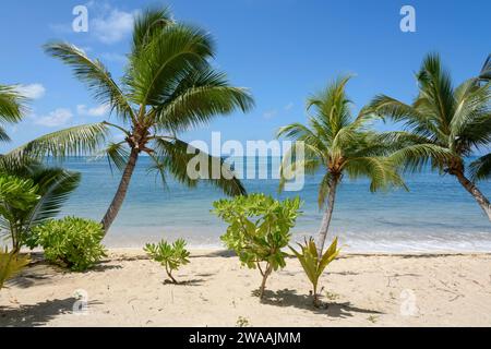 Strand Anse Cimitière. Praslin Island, Seychellen, Indischer Ozean Stockfoto