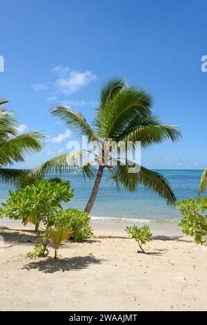 Strand Anse Cimitière. Praslin Island, Seychellen, Indischer Ozean Stockfoto