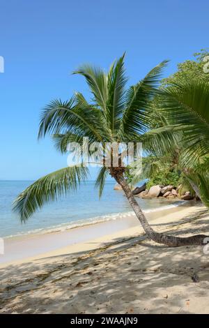 Strand Anse Cimitière. Praslin Island, Seychellen, Indischer Ozean Stockfoto