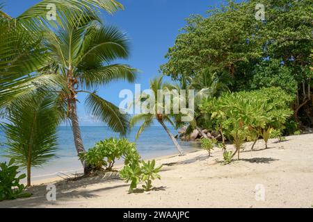 Strand Anse Cimitière. Praslin Island, Seychellen, Indischer Ozean Stockfoto