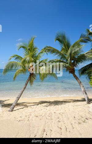 Strand Anse Cimitière. Praslin Island, Seychellen, Indischer Ozean Stockfoto