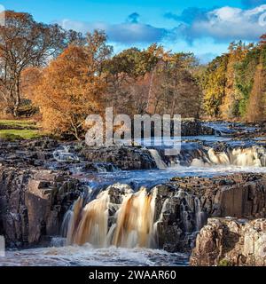 Tagesblick bei sonnigen Bedingungen im Herbst des Low Force Wasserfalls in Teesdale bei Bowlees, County Durham. England, Vereinigtes Königreich Stockfoto