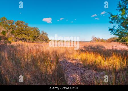 Wintermorgen auf Dafuske Island, South Carolina Stockfoto