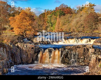 Tagesblick bei sonnigen Bedingungen im Herbst des Low Force Wasserfalls in Teesdale bei Bowlees, County Durham. England, Vereinigtes Königreich Stockfoto