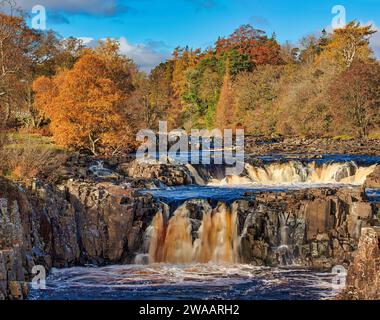 Tagesblick bei sonnigen Bedingungen im Herbst des Low Force Wasserfalls in Teesdale bei Bowlees, County Durham. England, Vereinigtes Königreich Stockfoto