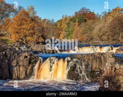 Tagesblick bei sonnigen Bedingungen im Herbst des Low Force Wasserfalls in Teesdale bei Bowlees, County Durham. England, Vereinigtes Königreich Stockfoto