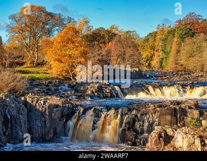 Tagesblick bei sonnigen Bedingungen im Herbst des Low Force Wasserfalls in Teesdale bei Bowlees, County Durham. England, Vereinigtes Königreich Stockfoto