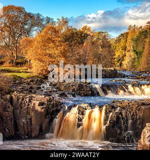 Tagesblick bei sonnigen Bedingungen im Herbst des Low Force Wasserfalls in Teesdale bei Bowlees, County Durham. England, Vereinigtes Königreich Stockfoto