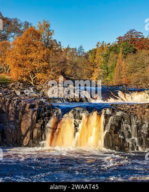 Tagesblick bei sonnigen Bedingungen im Herbst des Low Force Wasserfalls in Teesdale bei Bowlees, County Durham. England, Vereinigtes Königreich Stockfoto