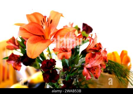 Schüssel mit Frecias, lilys und Nelkenblumen, canterbury, kent, uk januar 2024 Stockfoto