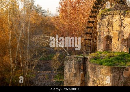 Blick und Details der Albolafia-Mühle auf dem Fluss Guadalquivir in Córdoba, Andalusien, Spanien mit der typischen Vegetation des Waldes am Fluss Stockfoto