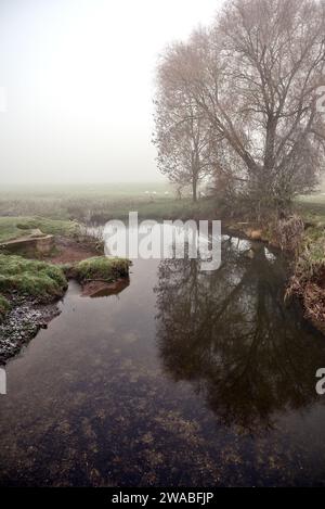 Der Fluss Arrow bei Studley an einem nebeligen Morgen im Winter. Stockfoto