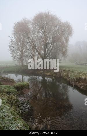 Der Fluss Arrow bei Studley an einem nebeligen Morgen im Winter. Stockfoto