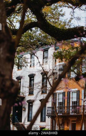 Architektur in Savannah Georgia mit spanischem Moosgrün. Stockfoto
