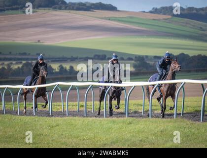 Das Lambourn Training Grounds Ion Berkshire, im Besitz des Jockey Club Stockfoto
