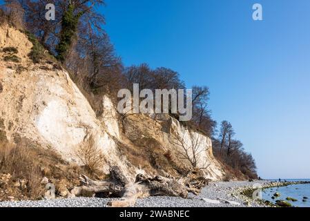 Ostseeinsel Rügen Kreidefelsen an dem Wanderweg bei Sassnitz an einem sonnigen Wintervormittag *** Ostseeinsel Rügen Kreidefelsen auf dem Wanderweg bei Sassnitz an einem sonnigen Wintermorgen Stockfoto