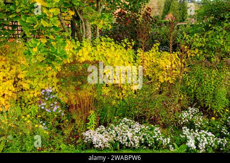 The Old English Garden ein traditioneller, ummauerter Garten in der Farbe des Spätherbstes auf Elvaston Castle bei Derby England, Großbritannien Stockfoto