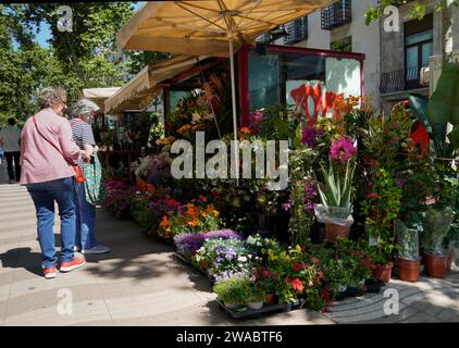 Barcelona, Spanien - 26. Mai 2022: Zwei Frauen schauen sich den Blumen- und Pflanzenstall auf der Rambla in Barcelona genau an, dem letzten Stand dieser Art von Handel in Barcelona Stockfoto