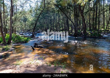 Foto des Coxs River, der durch einen üppigen Wald in den Blue Mountains im regionalen Australien fließt Stockfoto