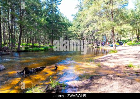 Foto des Coxs River, der durch einen üppigen Wald in den Blue Mountains im regionalen Australien fließt Stockfoto