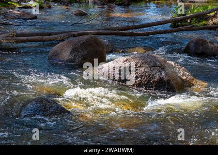 Foto des Coxs River, der durch einen üppigen Wald in den Blue Mountains im regionalen Australien fließt Stockfoto