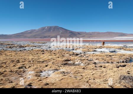 Paisajes de Bolivien Stockfoto