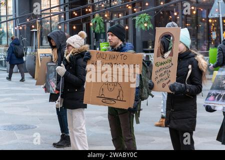Vegetarische Proteste im öffentlichen Raum Stockfoto