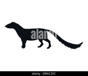 Vektor Hand gezeichnete Mungos Silhouette isoliert auf weißem Hintergrund Stock Vektor