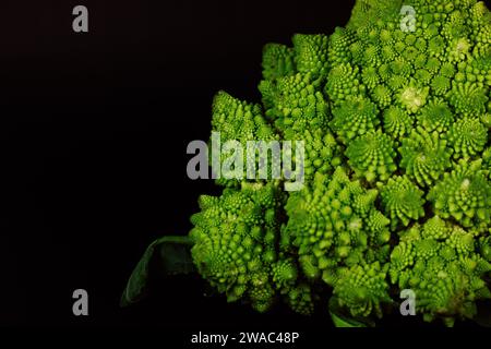 Blütenstände grüner frischer Romanesco-Brokkoli isoliert auf dunklem Hintergrund. Gartengemüse. Gesundes vegetarisches Essen. Blumenkopf Details. Stockfoto