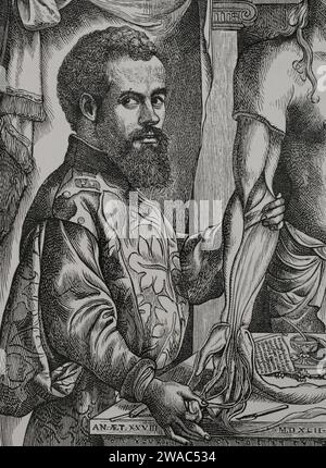 Andreas Vesalius (1514-1564). Flämischer Anatom und Arzt. Hochformat. Stich nach einer Zeichnung von Jan Van Calcar aus dem Jahr 1542. Sciences & Lettres au Moyen Age et à l'époque de la Renaissance. Paris, 1877. Stockfoto