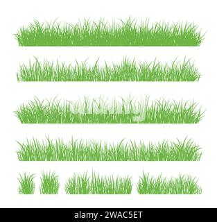 Grüne Grassilhouette. Zeichentricklinien von Pflanzen und Sträuchern zum Boarding und Rahmen, Öko- und Bio-Logo-Element. Vektorsatz Frühlingsfeld Pflanzen Sch Stock Vektor