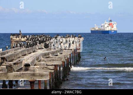 Eine verlassene alte Anlegestelle am Ufer mit einem Frachtschiff im Hintergrund. Punta Arenas. Chile Stockfoto