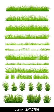 Grüne Grassilhouette. Zeichentricklinien von Pflanzen und Sträuchern zum Boarding und Rahmen, Öko- und Bio-Logo-Element. Vektorsatz Frühlingsfeld Pflanzen Sch Stock Vektor