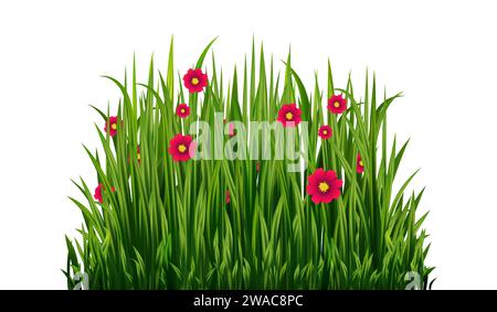 Grüne Grassilhouette. Zeichentricklinien von Pflanzen und Sträuchern zum Boarding und Rahmen, Öko- und Bio-Logo-Element. Vektorsatz Frühlingsfeld Pflanzen Sch Stock Vektor