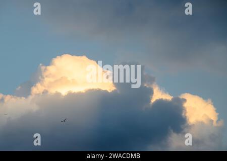 Dramatisch bewölkter Himmel mit dichten, dunklen Wolken, die im Kontrast zu den helleren Wolken stehen, die mit Sonnenlicht überzogen sind. Möwen fliegen über den Himmel. Stockfoto