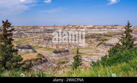 Farbenfrohe Horseshoe Canyon Badlands, Drumheller, Alberta, Kanada Stockfoto
