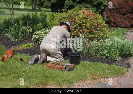 Der Sammler hat sich schwer um seinen Garten gekümmert. Stockfoto