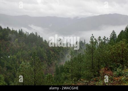 Willow Creek, eine kleine Stadt im Trinity County, CA, USA, verfügt über ein Museum, das Bigfoot gewidmet ist. Stockfoto