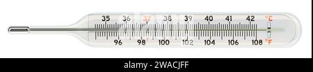 Medizinisches, klinisches Quecksilberthermometer mit Fahrenheit- und Celsius-Skalen, 3D-Rendering isoliert auf weißem Hintergrund Stockfoto