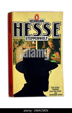 Steppenwolf von Herman Hesse. Verwendetes Taschenbuch auf weißem Hintergrund. Studio eingerichtet. Dezember 2023 Stockfoto