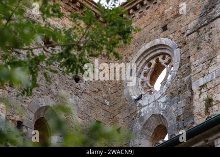 Zerstörte Fensterrosette im verlassenen Zisterzienserkloster San Galgano in der Toskana, Italien Stockfoto