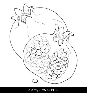 Abbildung Granatapfel. Ausmalseite. Linie Art.. Stock Vektor