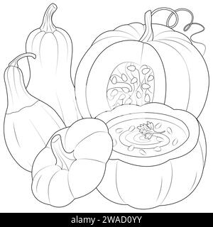 Kürbissuppe und Kürbisse, Smoothie und Kürbis isoliert auf weißem Hintergrund. Illustration des Vektors für ökologische Lebensmittel im Herbst. Gesunde Ernährung. Vegetarisches Produkt. Vektorabbildung Stock Vektor