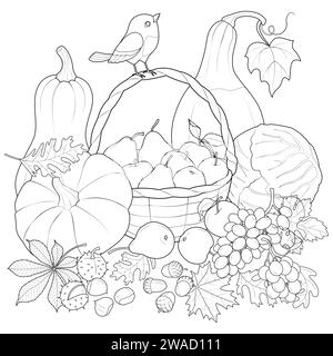 Herbst Ernte Gemüse und Früchte mit Vogel. Schwarz-weiß-Vektorillustration. Ausmalseite für Kinder und Erwachsene. Vektorabbildung Stock Vektor