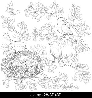 Familienvögel in einem Nest, in den Zweigen eines blühenden Apfelbaums. Ausmalseite für Kinder und Erwachsene. Seite für Entspannung und Meditation. Abbildung der Vektorkontur. Stock Vektor