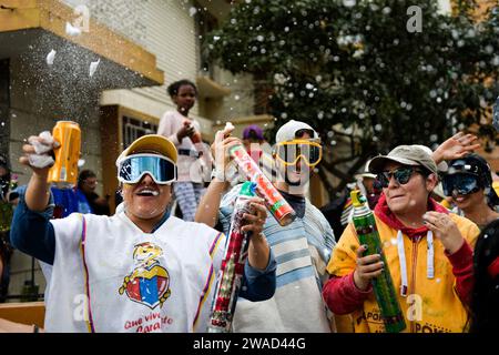 Pasto, Kolumbien. Januar 2024. Während der Canto a la Tierra Künstlerparade des Karnevals von Negros y Blancos (Karneval der Schwarzen und Weißen) in Pasto, Narino, Kolumbien, am 3. Januar 2024. Foto: Camilo Erasso/Long Visual Press Credit: Long Visual Press/Alamy Live News Stockfoto