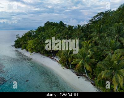 Ein herrlicher Strand ist von Kokospalmen in Raja Ampat, Indonesien, gesäumt. Diese abgelegene, tropische Region ist bekannt für ihre exquisiten Korallenriffe. Stockfoto