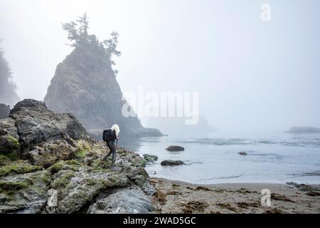 USA, Oregon, Brookings, Seniorin, die auf Felsen über dem Meer wandern Stockfoto